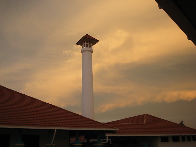 merbau008.jpg