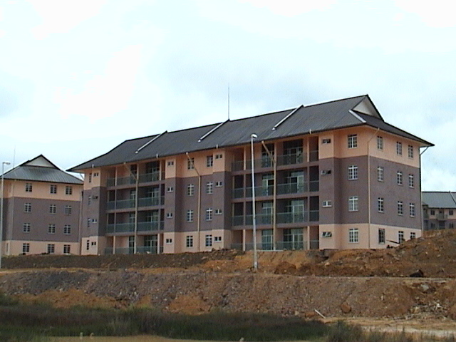 poly029.jpg